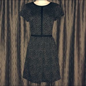 NWOT Loft - Animal Print Short - Sleeve Dress